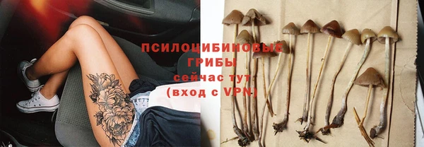 spice Осинники