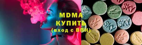 индика Няндома