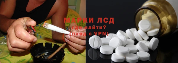 spice Осинники