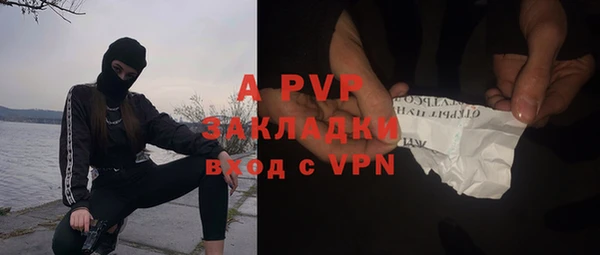 spice Осинники