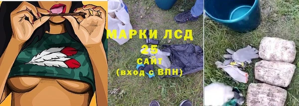 spice Осинники