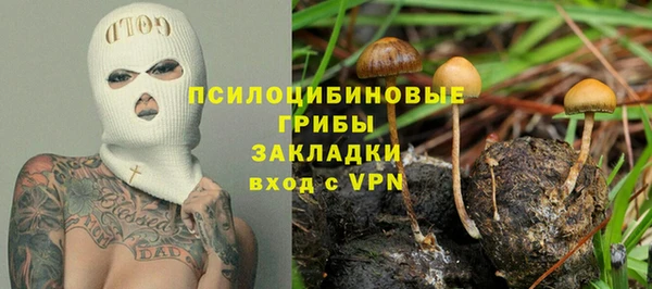 spice Осинники