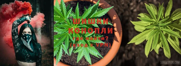 spice Осинники