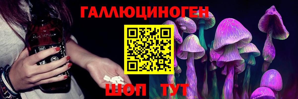 Псилоцибиновые грибы Cubensis Черногорск